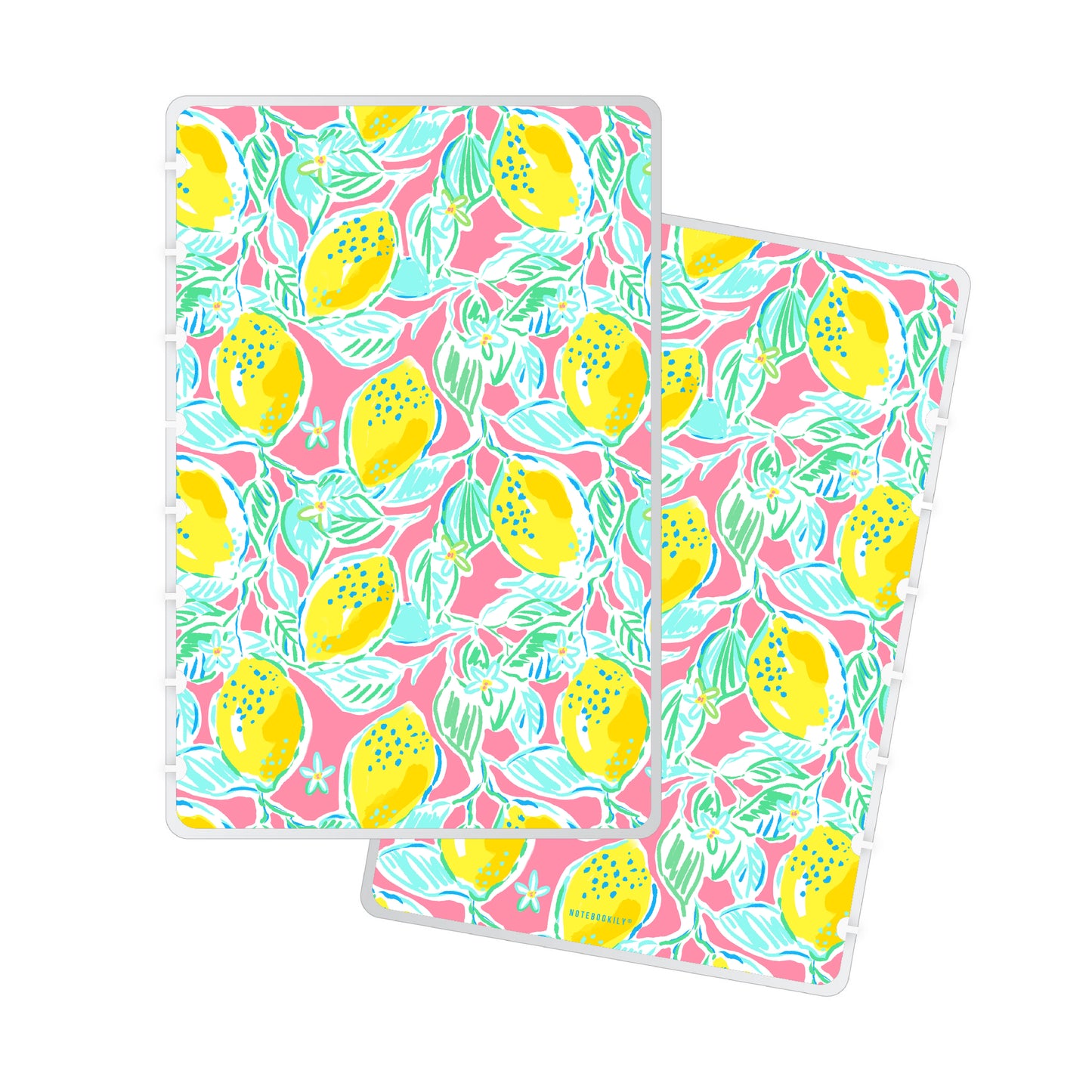 Preppy Lemons Discbound Notebook Kit