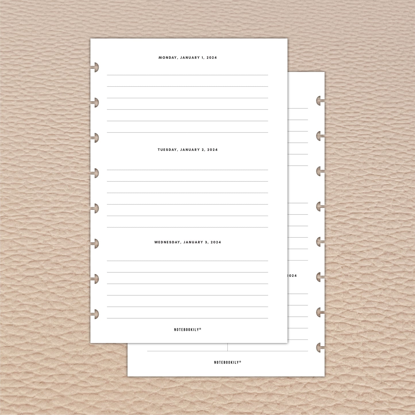 Dated Weekly 2024 | Discbound Planner Inserts