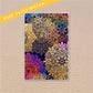 Rainbow Mandala Junior Discbound Notebook Covers