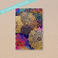 Rainbow Mandala Junior Discbound Notebook Covers